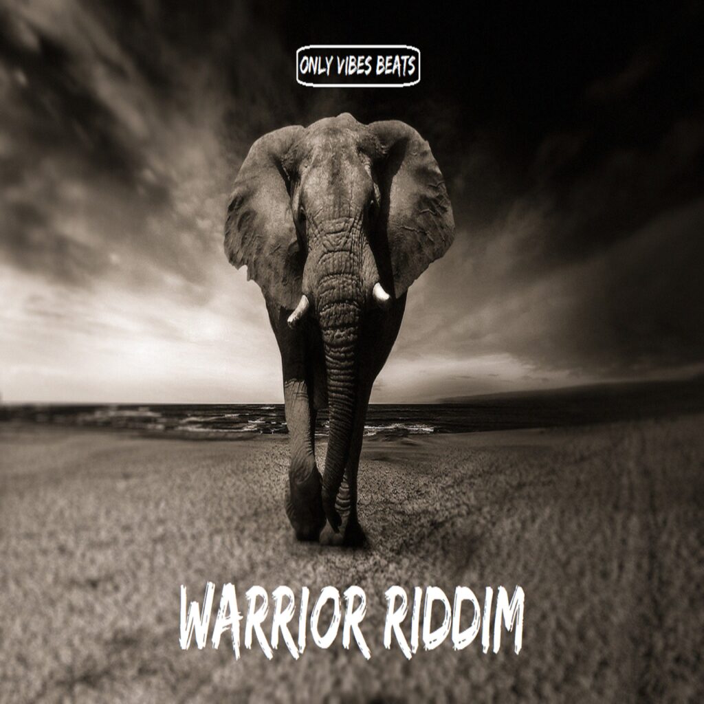 Warrior Riddim -Only-Vibes-Beats
